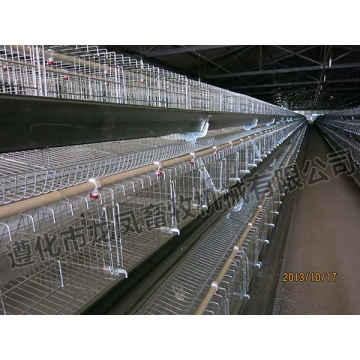 Chicken Layer Battery Cage for Farm